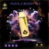 ACE-PURPLE-BERRY-ICE